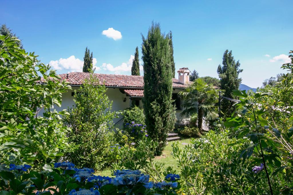 Villa Blu Ortensia room 2